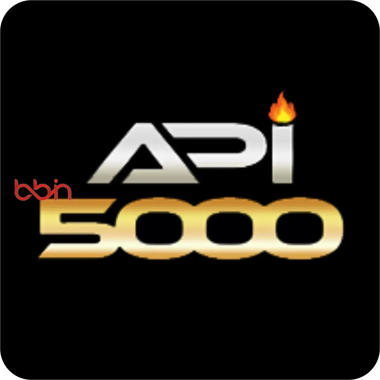 Logo api5000